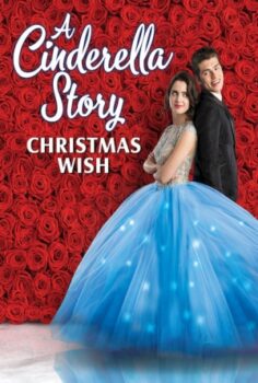 A Cinderella Story: Christmas Wish izle