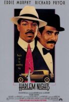 Harlem Geceleri (1989) izle