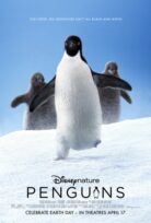 Penguenler izle