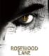 Rosewood Lane izle