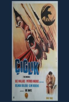 Çığlık (1981) izle