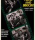 Young and Innocent (1937) izle