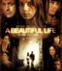 A Beautiful Life izle