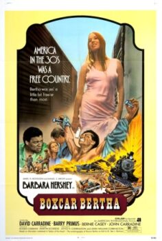 Soygun ve aşk (1972) izle