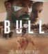 Bull izle