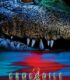 Crocodile 2: Death Swamp izle