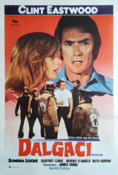 Dalgacının Kralı (1978) izle