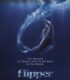 Flipper (1996) izle