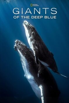 Giants of the Deep Blue izle