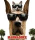 Çılgın Köpek izle