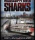 Mississippi River Sharks izle