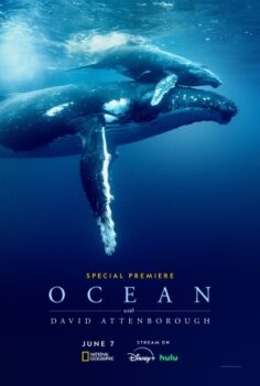 Ocean with David Attenborough izle