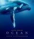 Ocean with David Attenborough izle