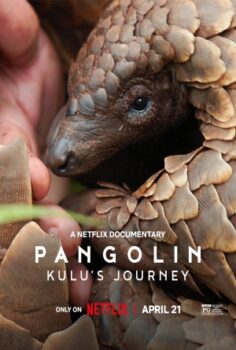 Pangolin: Kulu’nun Yolculuğu izle