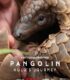 Pangolin: Kulu’nun Yolculuğu izle