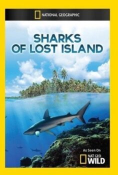 Sharks of Lost Island izle