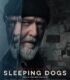 Sleeping Dogs izle