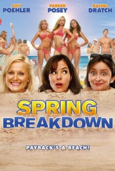 Spring Breakdown izle