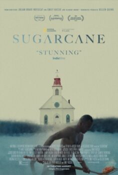 Sugarcane izle