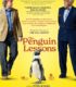 Penguen Dersleri izle
