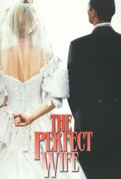 The Perfect Wife izle