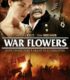 Savaş Çiçekleri izle